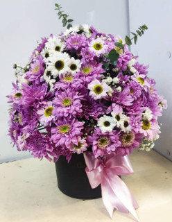 باکس گل طبیعی داوودی بنفش و سفید کد(۵۵)