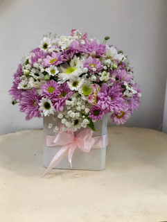 مینی باکس داوودی