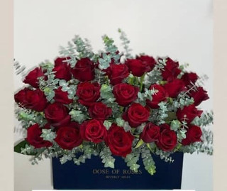 باکس رز هلندی قرمز